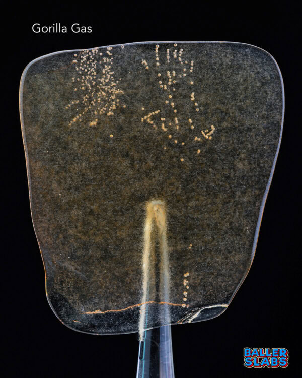 BALLER SLAB SHATTER - GORILLA GAS (5 gram)