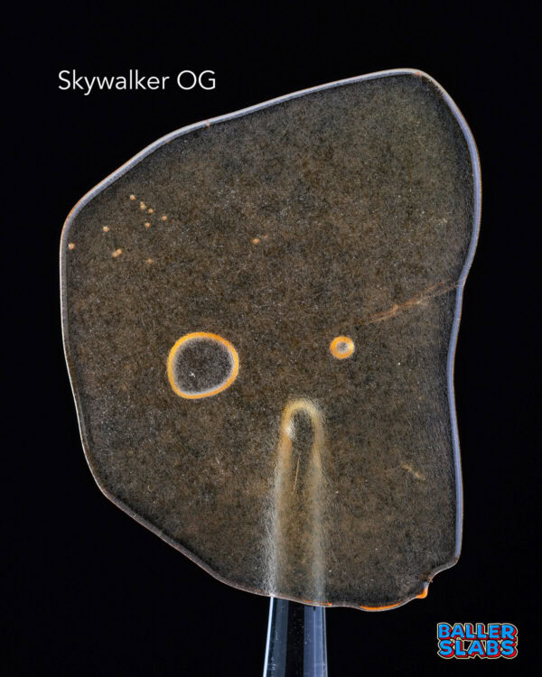 BALLER SLAB SHATTER - SKYWALKER OG (5 gram)