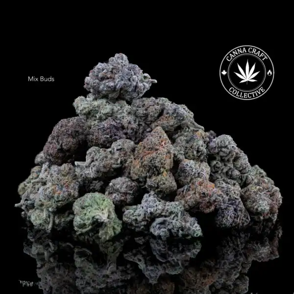 AA+ - MIX BUDS