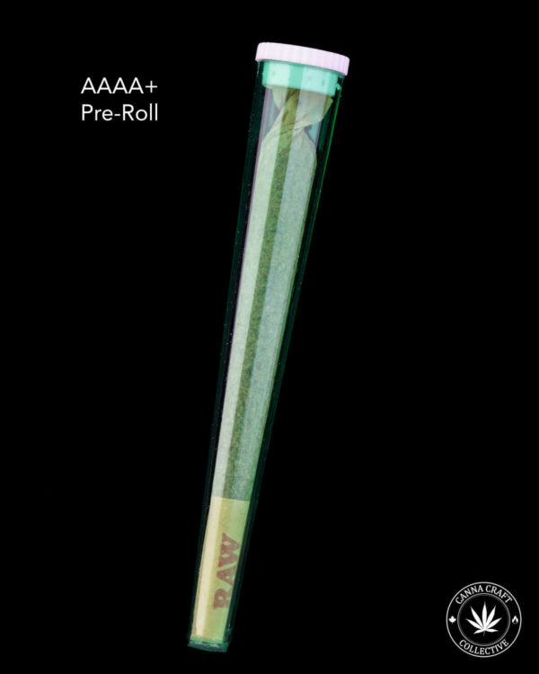 AAAA+ KING SIZE PRE ROLL - GARY PAYTON