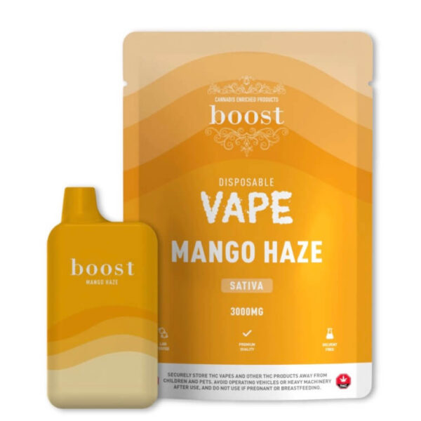 BOOST DISPOSABLE VAPE - MANGO HAZE (3 GRAM)