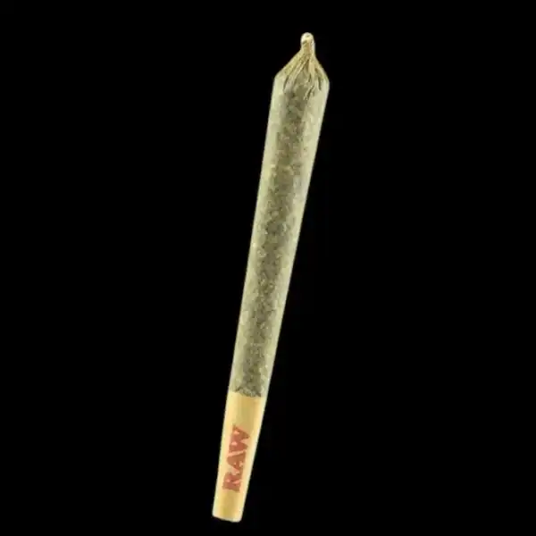 AAAA+ KING SIZE PRE ROLL - GARY PAYTON