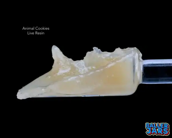 BALLER JAR LIVE RESIN - ANIMAL COOKIES (5 gram)