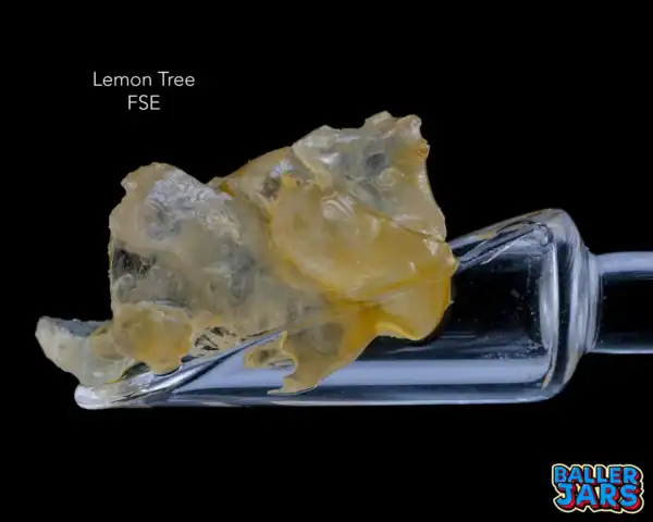 BALLER JAR FSE - LEMON TREE (5 gram)
