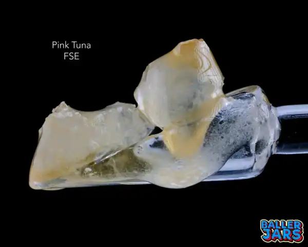 BALLER JAR FSE - PINK TUNA (5 gram)