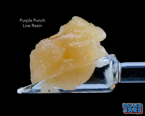 BALLER JAR LIVE RESIN - PURPLE PUNCH (5 gram)