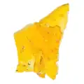 HONEY BADGER EXTRACTS SHATTER - KING TUT