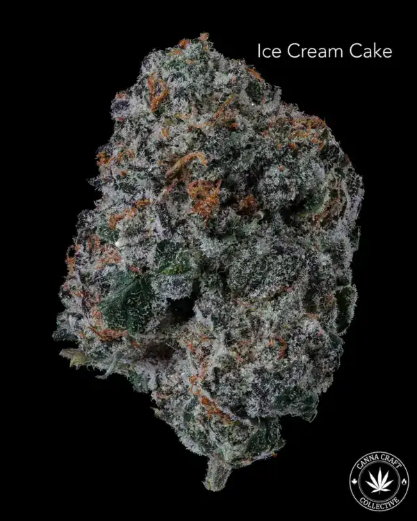 AAA+ - ICE CREAM CAKE