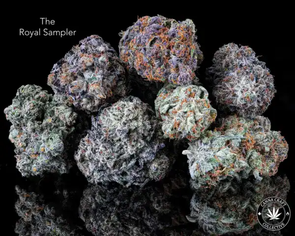 AAAA - THE ROYAL SAMPLER