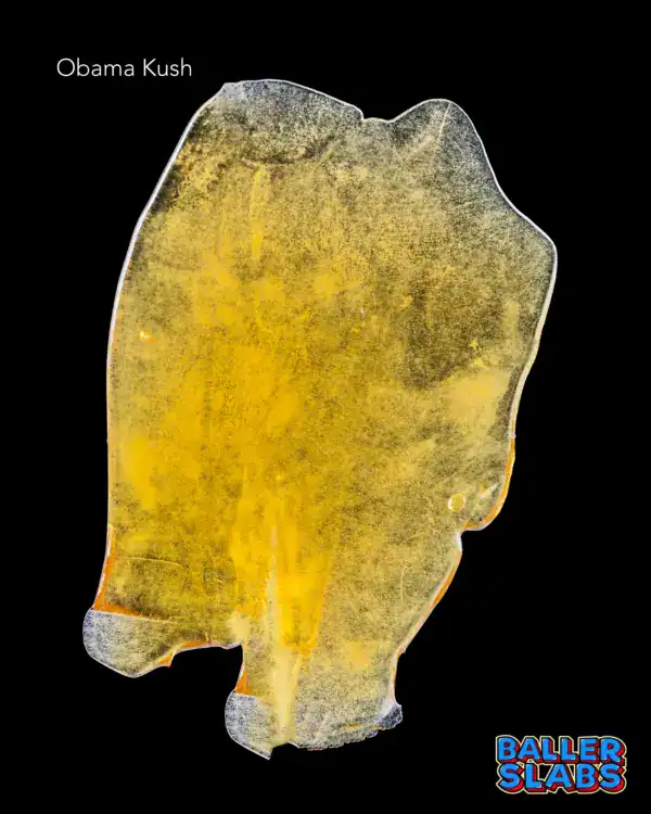 BALLER SLAB SHATTER - OBAMA KUSH (5 gram)