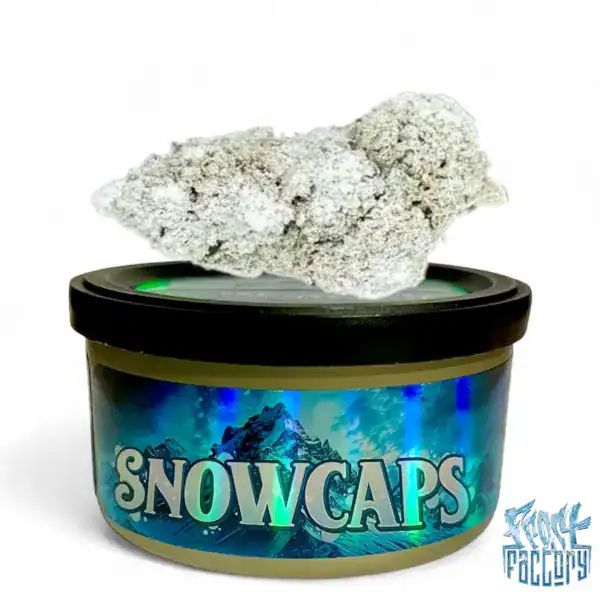 FROST FACTORY SNOW CAPS - CHERRYGASM