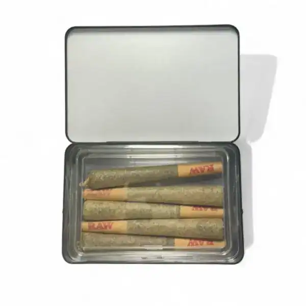 CANNONS INFUSED PRE-ROLLS - WATERMELON ZKITTLEZ (5 PACK)