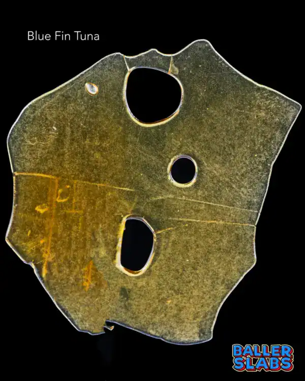 BALLER SLAB SHATTER - BLUE FIN TUNA (5 gram)