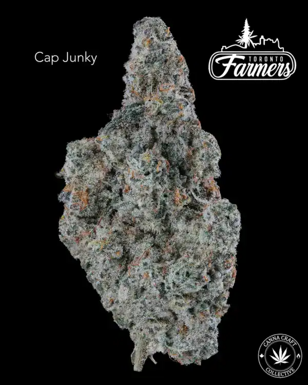 CAP JUNKY