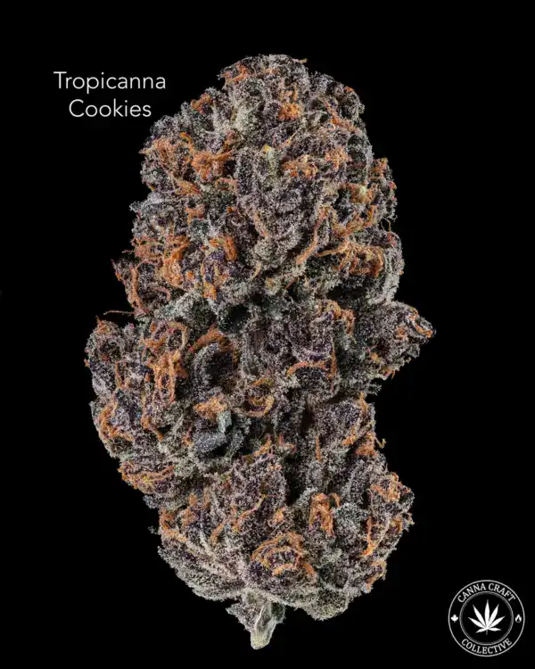 TROPICANA COOKIES