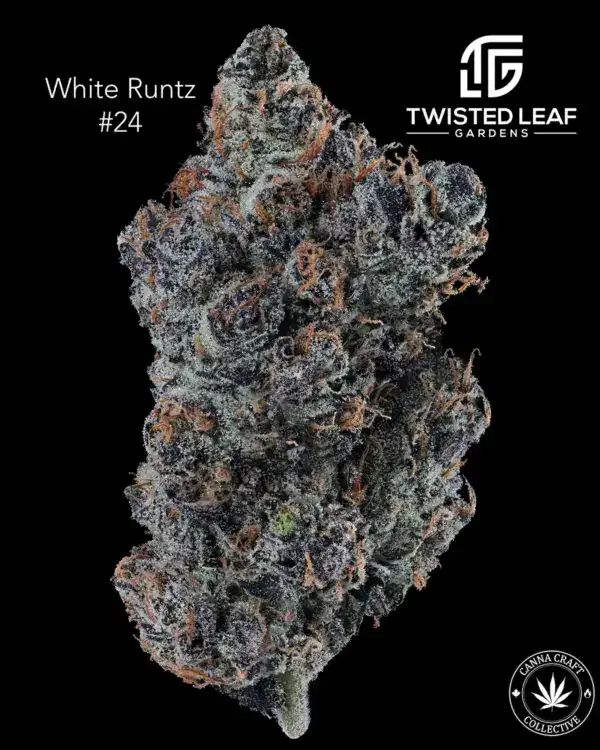 WHITE RUNTZ #24