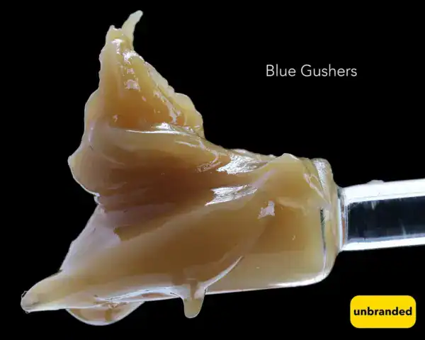BULK JAR LIVE HASH ROSIN - BLUE GUSHERZ