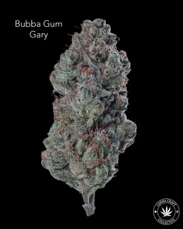 AAA+ - BUBBA GUM GARY