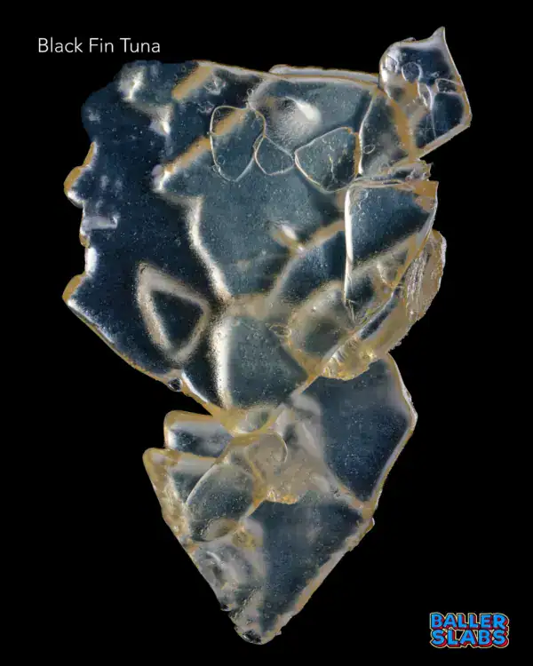 BALLER SLAB SHATTER - BLACK FIN TUNA (5 gram)