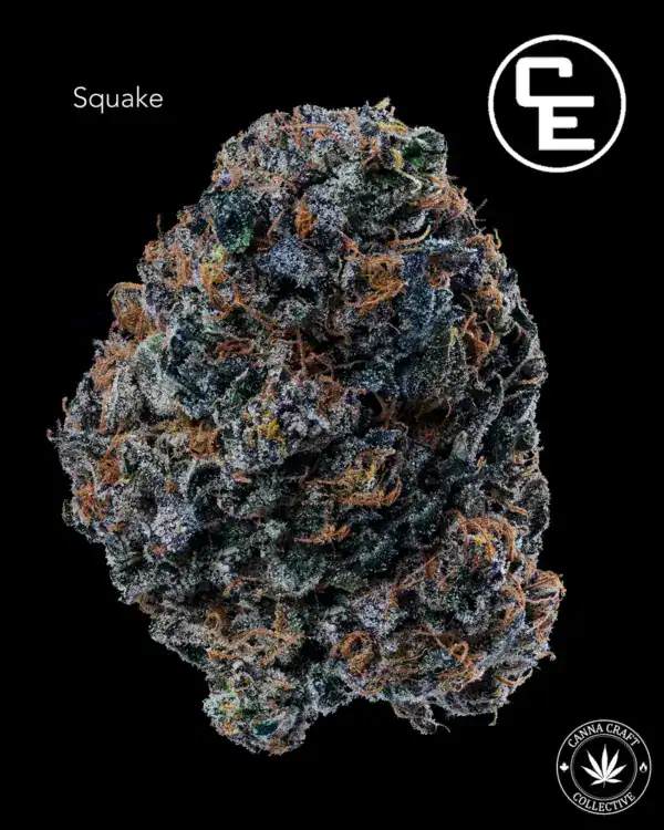 SQUAKE BY CE