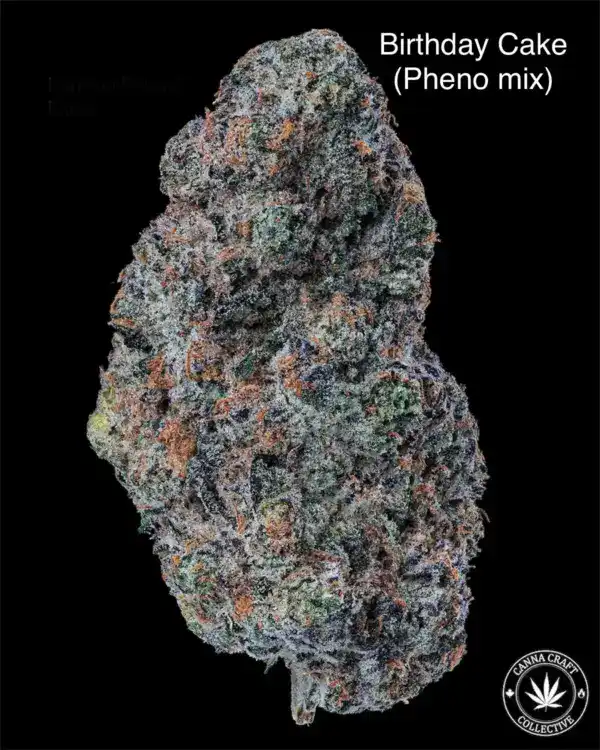 AAAA *ON SPECIAL* BIRTHDAY CAKE PHENO MIX