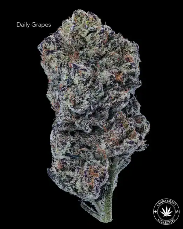 DAILY GRAPES