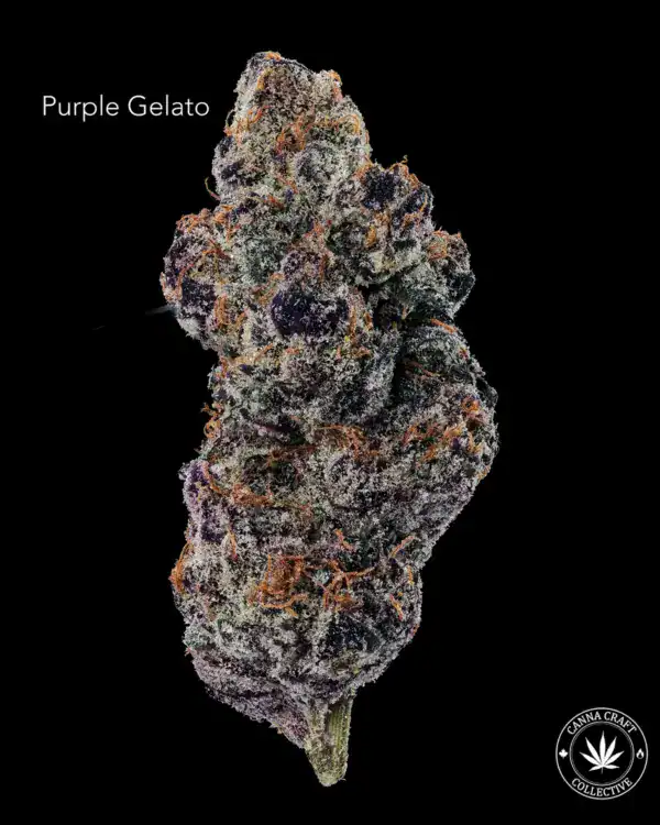 PURPLE GELATO