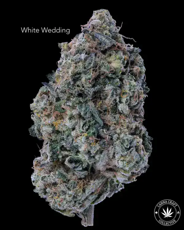 WHITE WEDDING