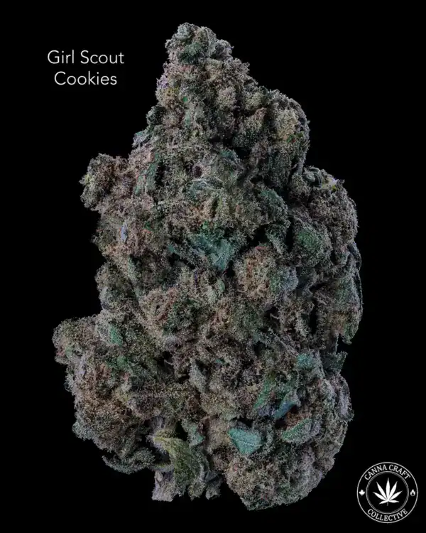 AA+ - GIRL SCOUT COOKIES