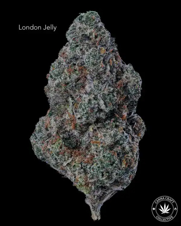 LONDON JELLY