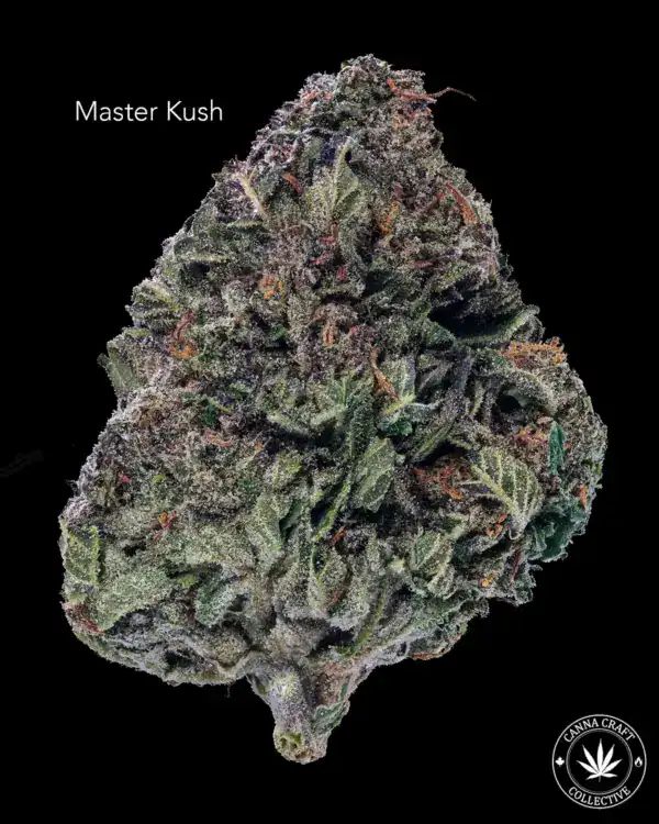 AA+ - MASTER KUSH