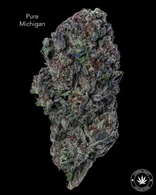 AA+ - PURE MICHIGAN
