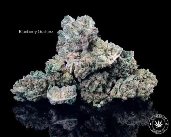 AA - BLUEBERRY GUSHERZ