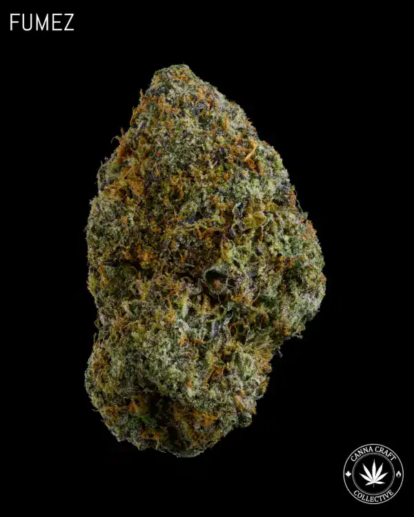 AAAA *ON SPECIAL* FUMEZ