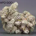 ASTROPINK - CHAPO GOO (LOT#8913)