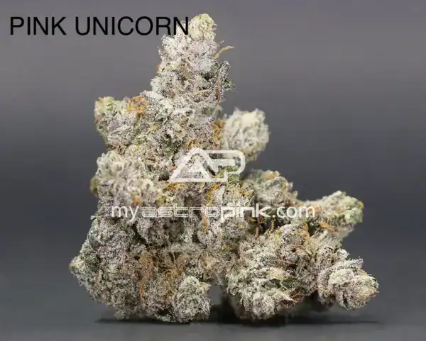 ASTROPINK - PINK UNICORN (LOT#9348)