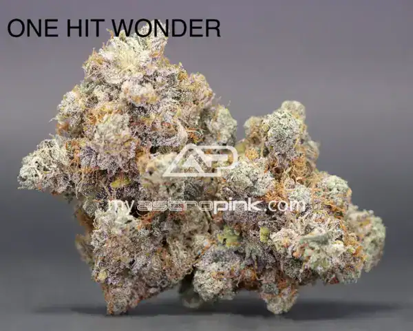 ASTROPINK - ONE HIT WONDER (LOT#6149)