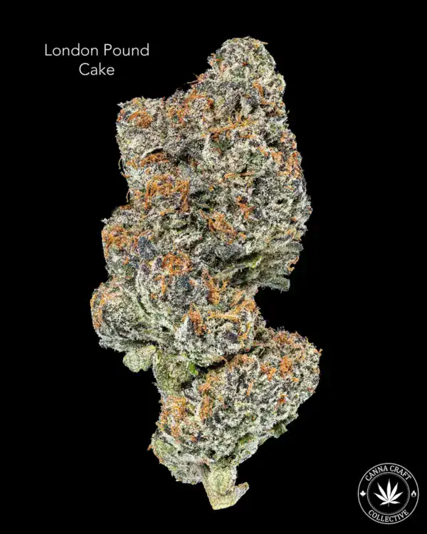 AAAA *ON SPECIAL* LONDON POUND CAKE