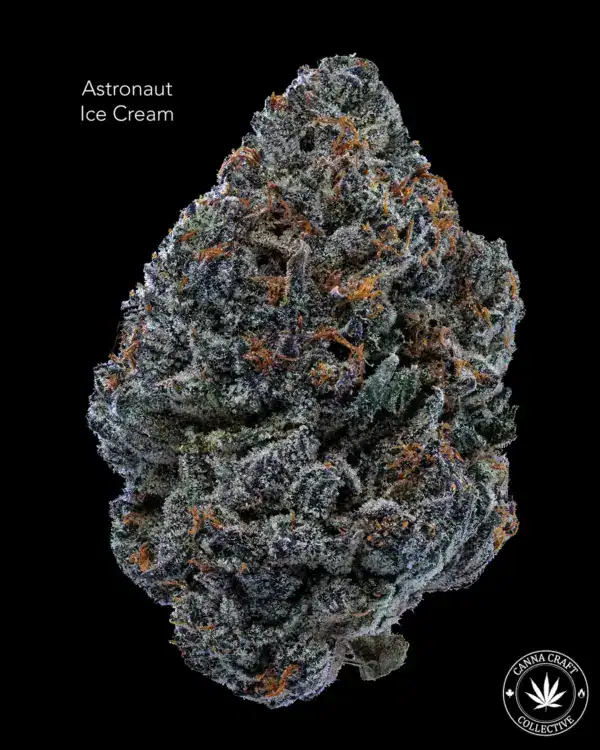 AAAA *ON SPECIAL* ASTRONAUT ICE CREAM