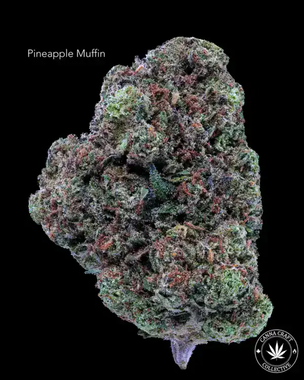 AA+ - PINEAPPLE MUFFIN