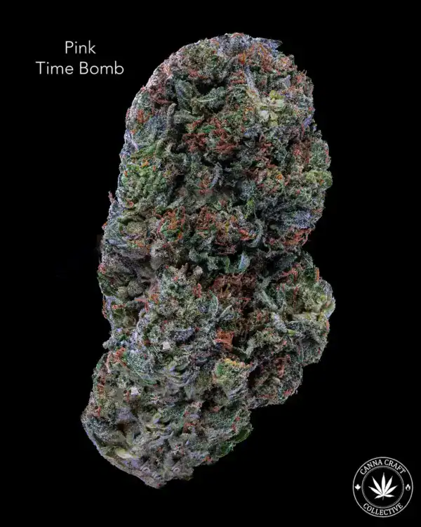 AAAA *ON SPECIAL* PINK TIME BOMB