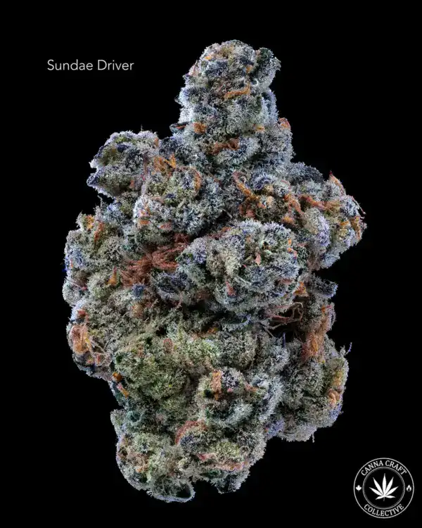 SUNDAE DRIVER