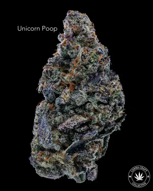 UNICORN POOP